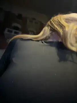 AnastasiaAniess