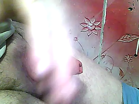 two_colour_cock