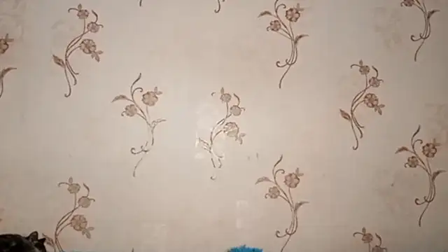 Sophiecuttie
