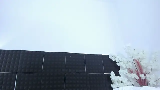 guadalupe21_