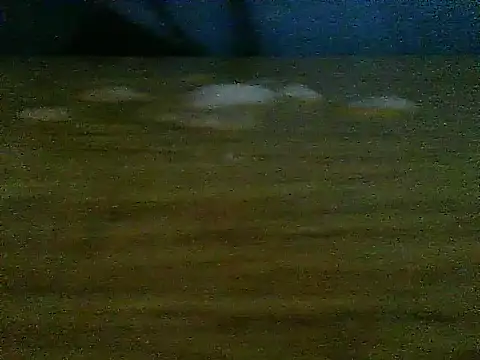 dangerman94 - Dangerman94's free webcam