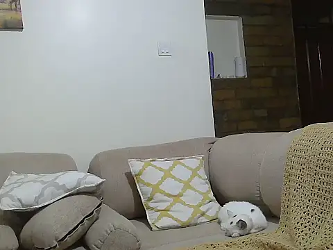 stephdoll