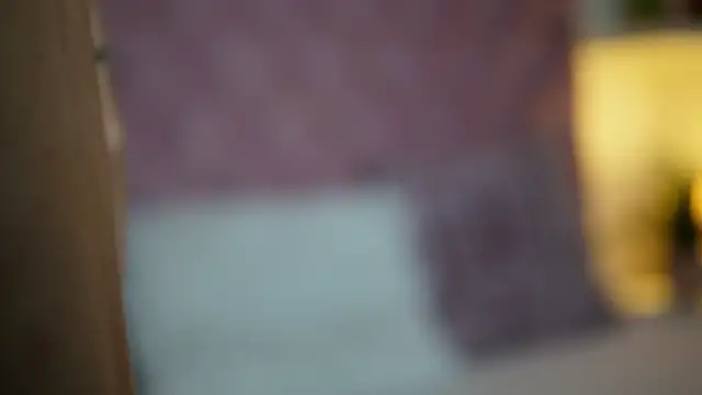 MaiaMini