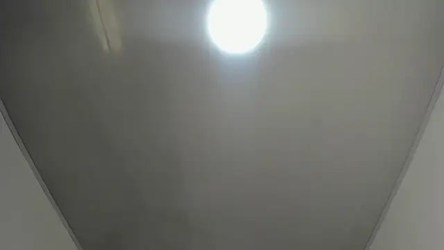 Vickyfox_