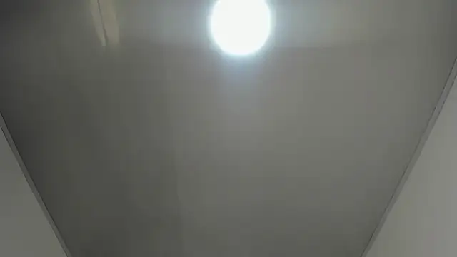 Vickyfox_