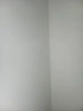 Alisson_Morgann