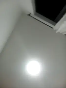Alisson_Morgann