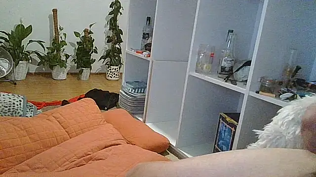 DeconetSex