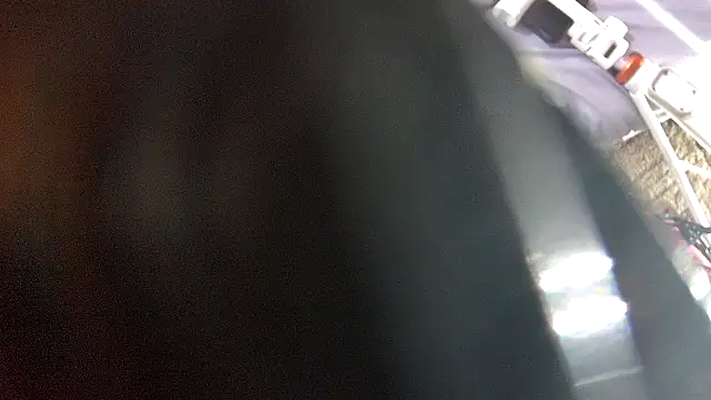 aquafoxy