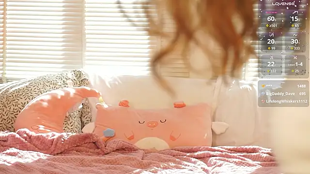 lexicoyy_