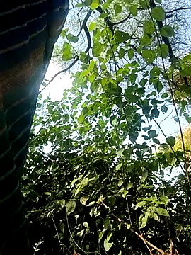 Jan_643