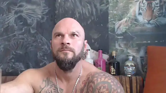 viking_30