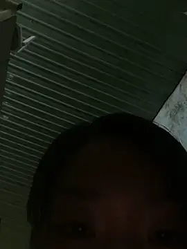 Rosa_998