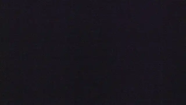lisa_logan
