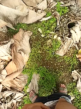 Sikici0734