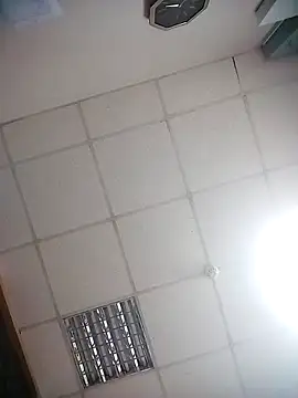 Fiona696