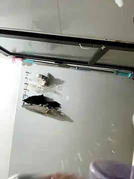 ZinzinLy webcam