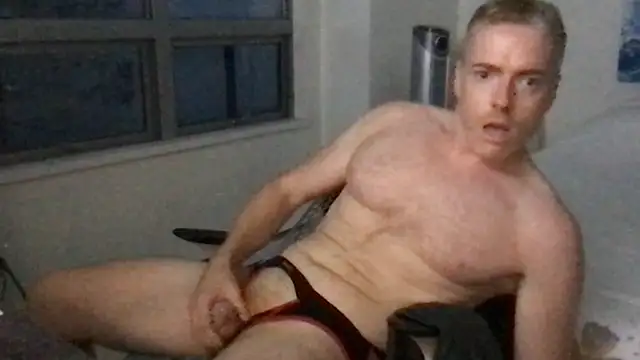 Gingerbushguy
