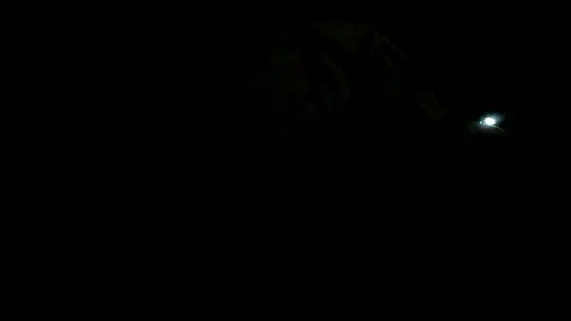 Jizzlee-BWC94