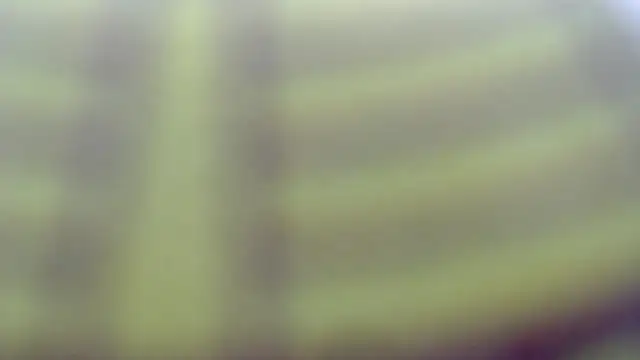 nikol_winick