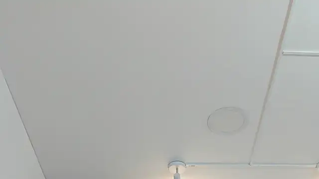 Emye_Hudsonn