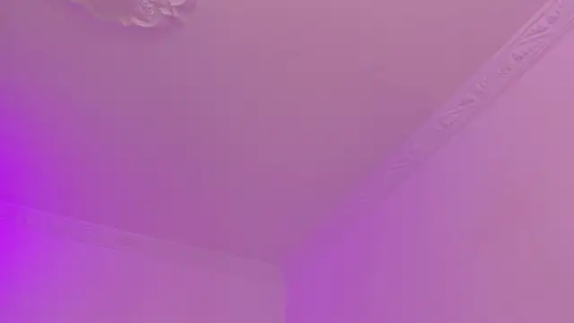 shanel_taylor