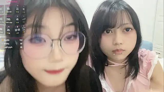 DD-NN webcam