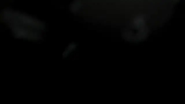 Charlottee_Brown2