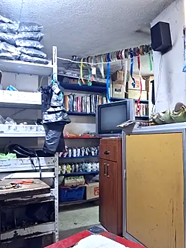 Niidia webcam