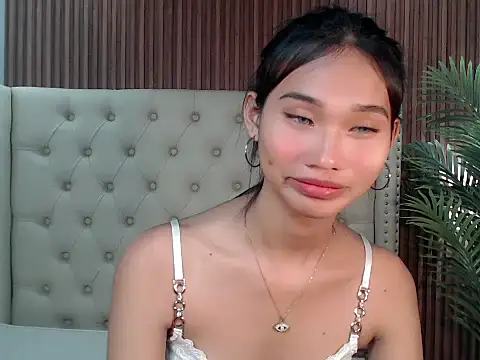 universal_cutie