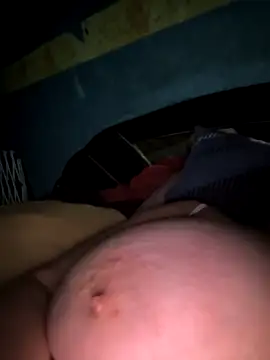 poussychats