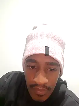 gemini_loops