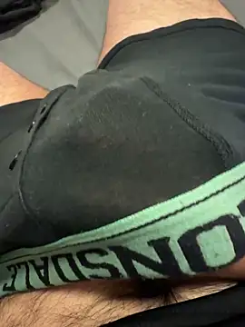 Dan8736