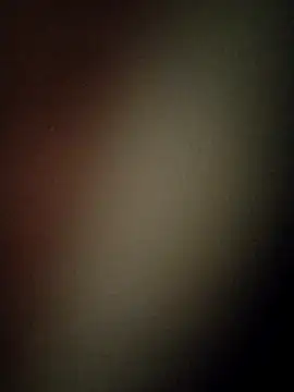 saneer69tew