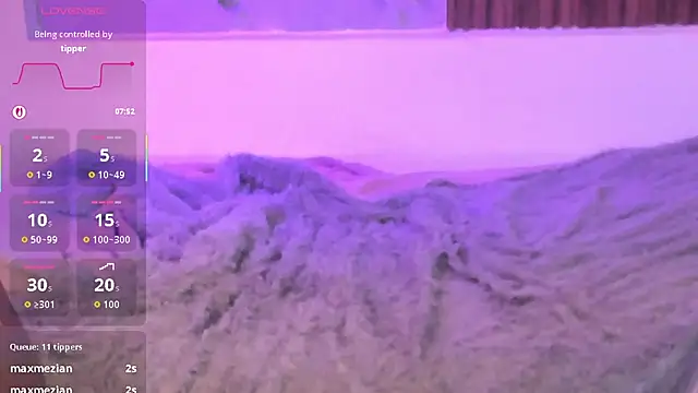 Dakotaferreti