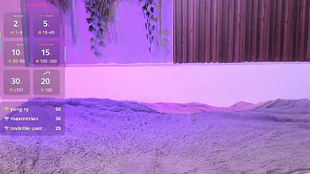 Dakotaferreti