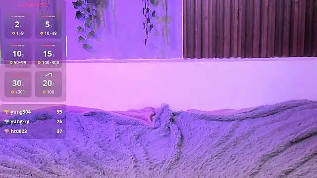Dakotaferreti