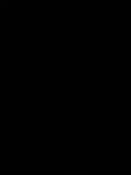 likacat