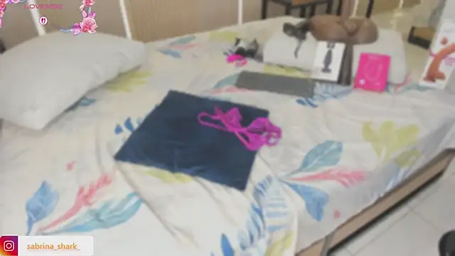sabrina_shark_