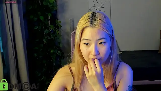 Aisi_18