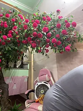 Bollozzy_89