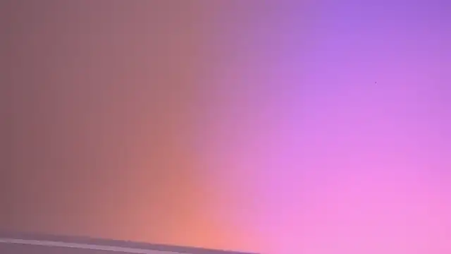 YssabelFox