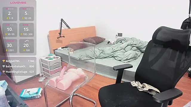 xiaomaoxue webcam
