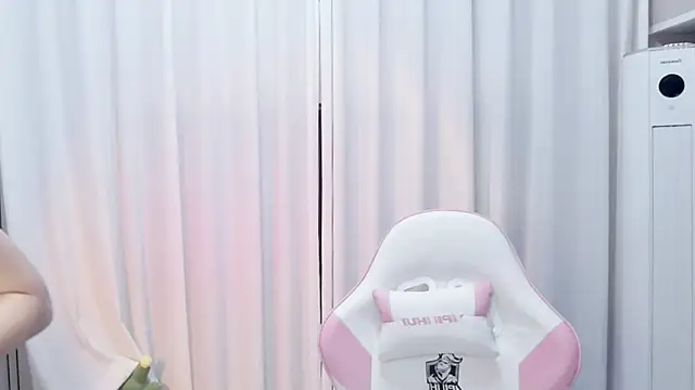 taozi-2025