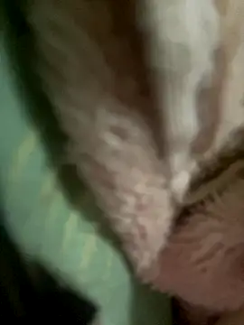 alonashy - Alonashy's free webcam