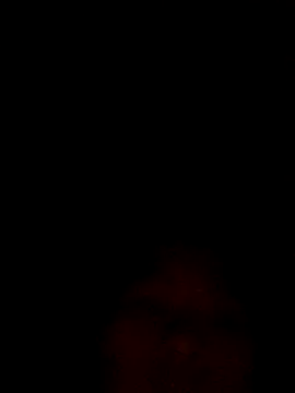 Maymay97