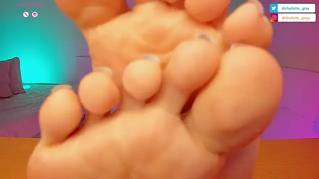 charlotte__grey
