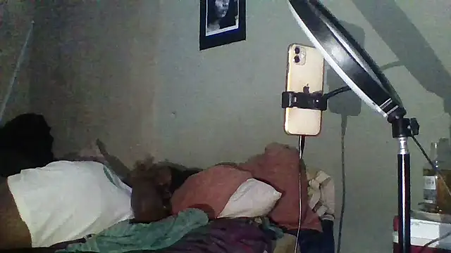 Moorella1