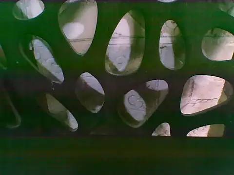 asian_bhebs1