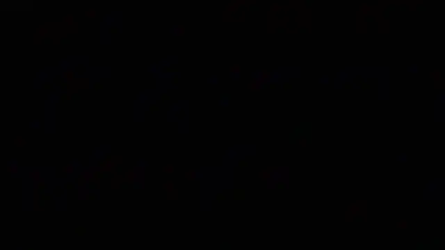 _Vahos_